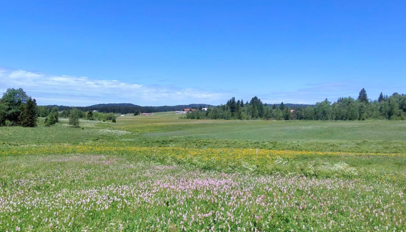 Les plus beaux gîtes à louer dans le Jura : Les Chalets des Chemins Verts !